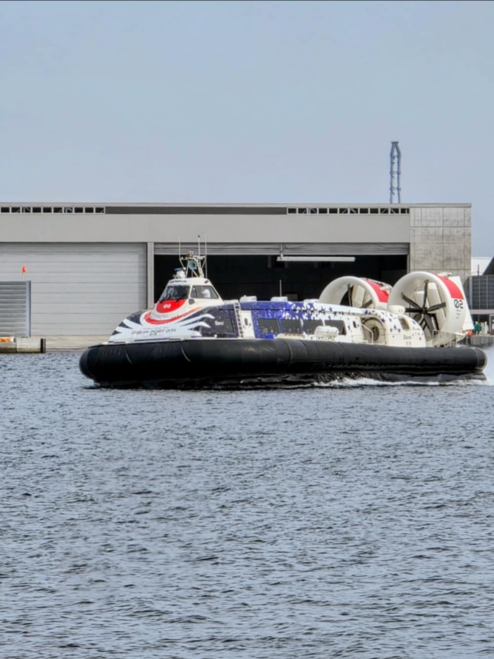 ブルー系のMA-1、グリーン系のスラックス、ブラック系のスニーカーを着用したメンズの冬コーディネートの3枚目の写真