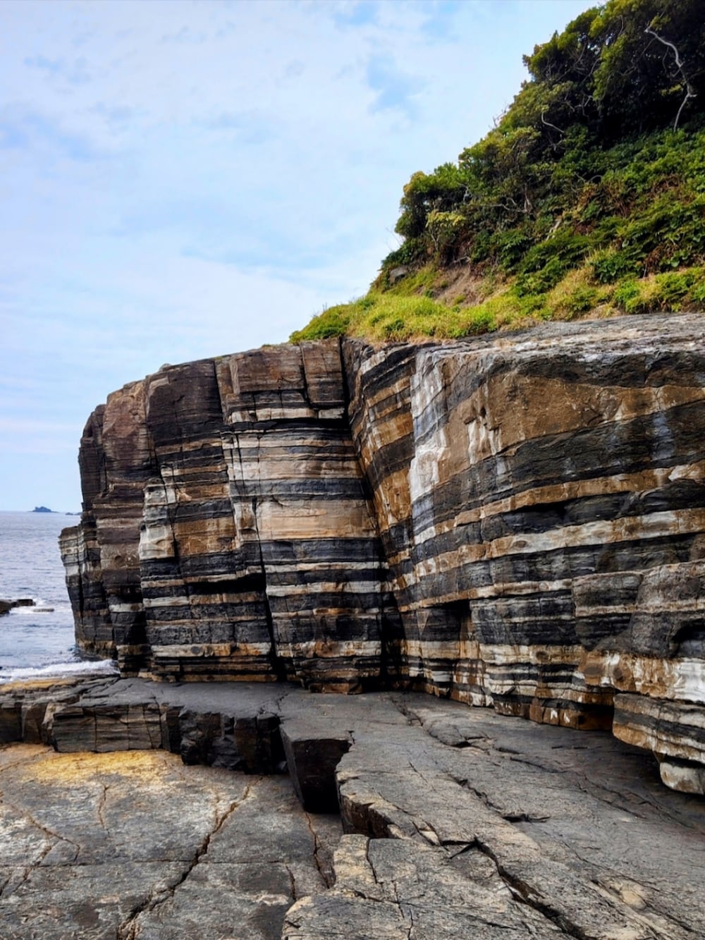 レッド系のシャツ/ブラウス、グリーン系のカーゴパンツ、ブラック系のスニーカーを着用したメンズの春コーディネートの4枚目の写真
