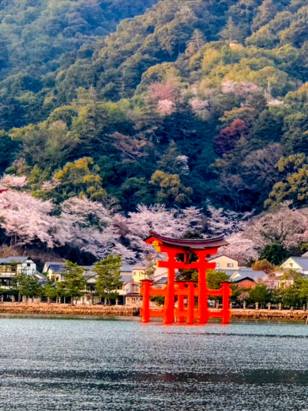 ピンク系のミリタリージャケット、ブルー系のデニムパンツ、ベージュ系のスニーカーを着用したメンズの春コーディネートの5枚目の写真