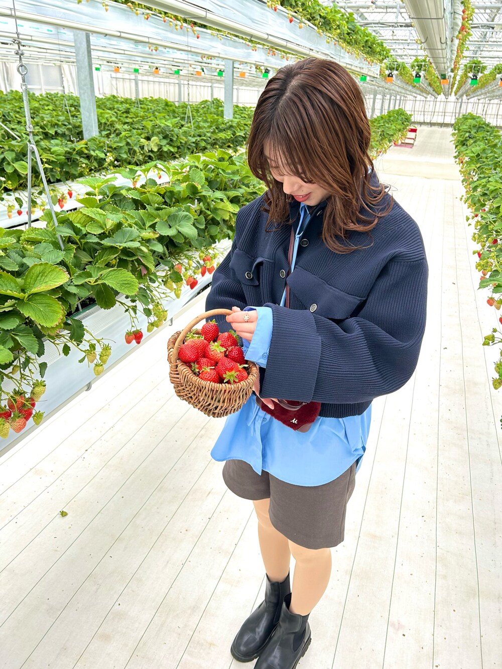 「ブルーコーデ、イチゴ狩り」|「SENSE OF PLACE by URBAN RESEARCHのニットショートジャケット(ニット/セーター、ブルー系)」を使った、oraaange0405さん(骨格ストレート・レディース・164cm)の春コーディネートの2枚目の写真