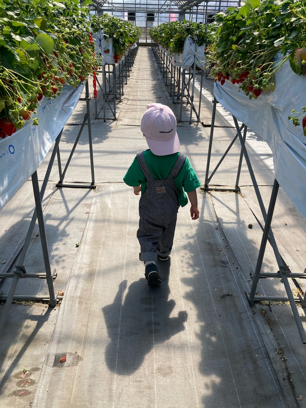 グリーン系のTシャツ/カットソー、その他のサロペット/オーバーオール、ピンク系のTシャツ/カットソーを着用したキッズの春コーディネートの4枚目の写真