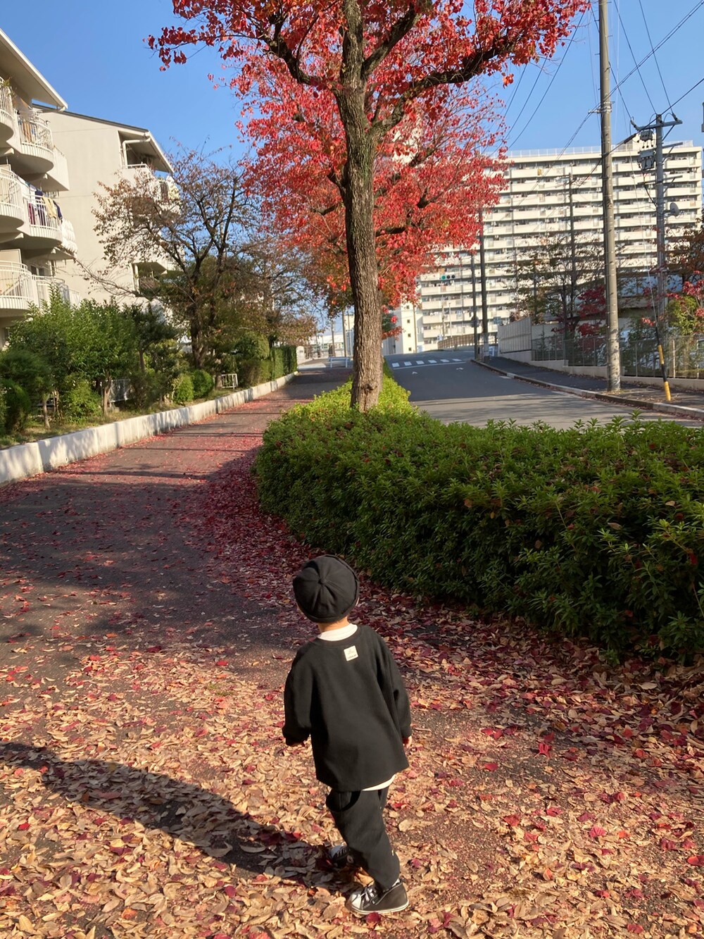 ブラック系のTシャツ/カットソー、ブラック系のパンツ、ブラック系のソックス/靴下を着用したキッズの秋コーディネートの4枚目の写真