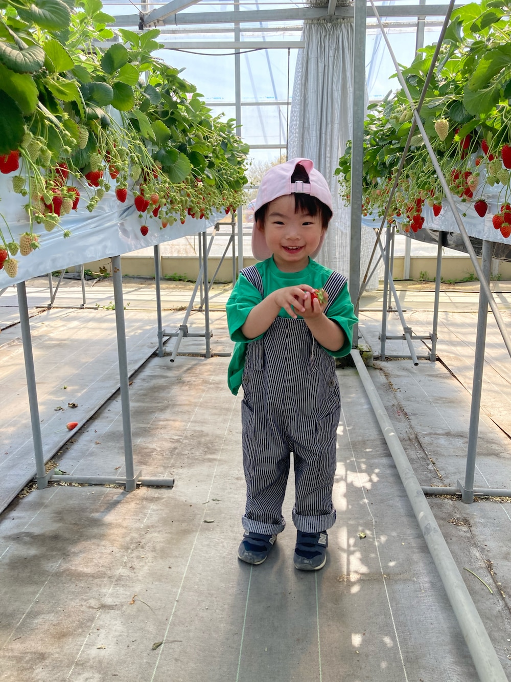 グリーン系のTシャツ/カットソー、その他のサロペット/オーバーオール、ピンク系のTシャツ/カットソーを着用したキッズの春コーディネートの2枚目の写真