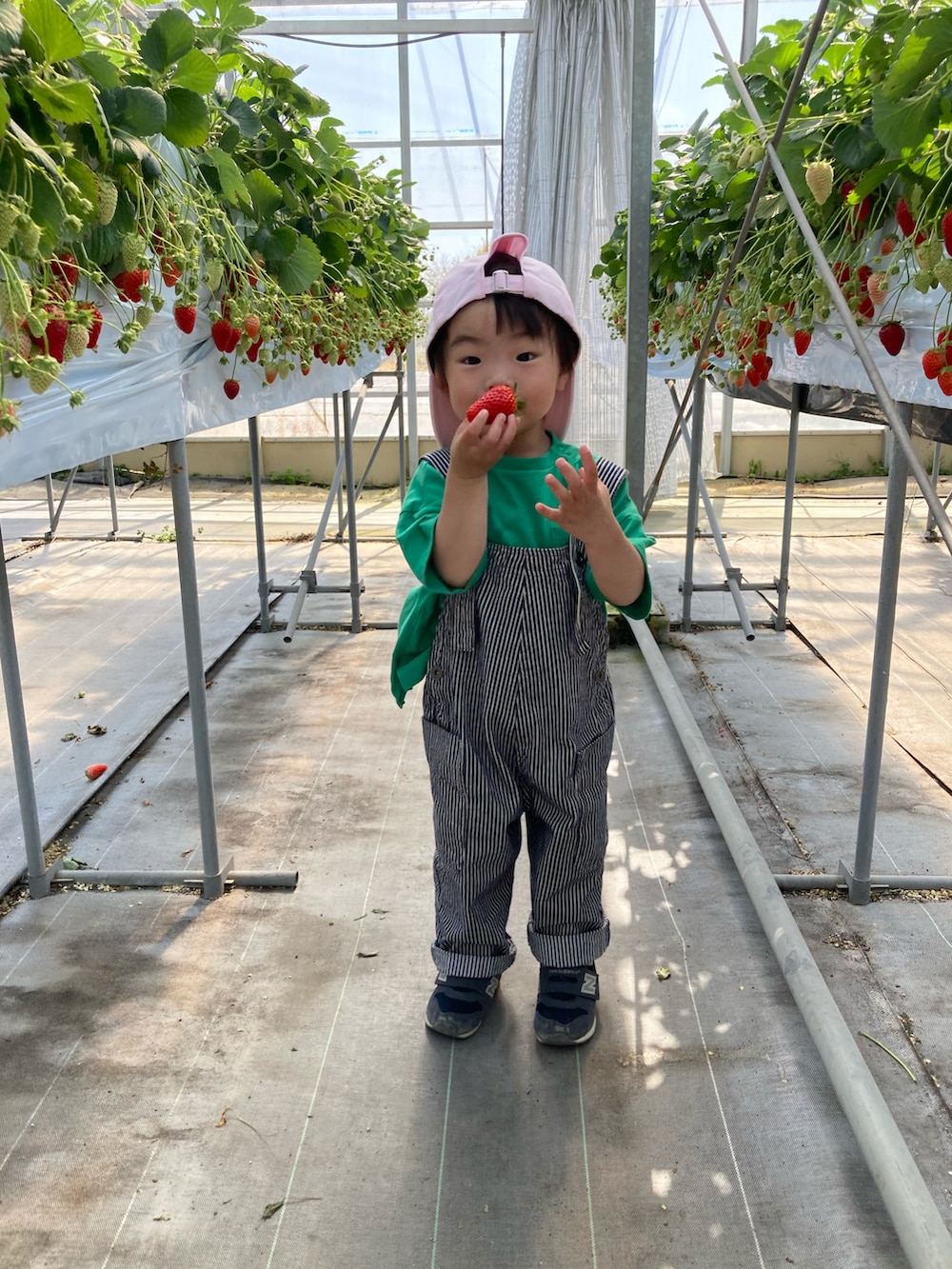 グリーン系のTシャツ/カットソー、その他のサロペット/オーバーオール、ピンク系のTシャツ/カットソーを着用したキッズの春コーディネートの3枚目の写真