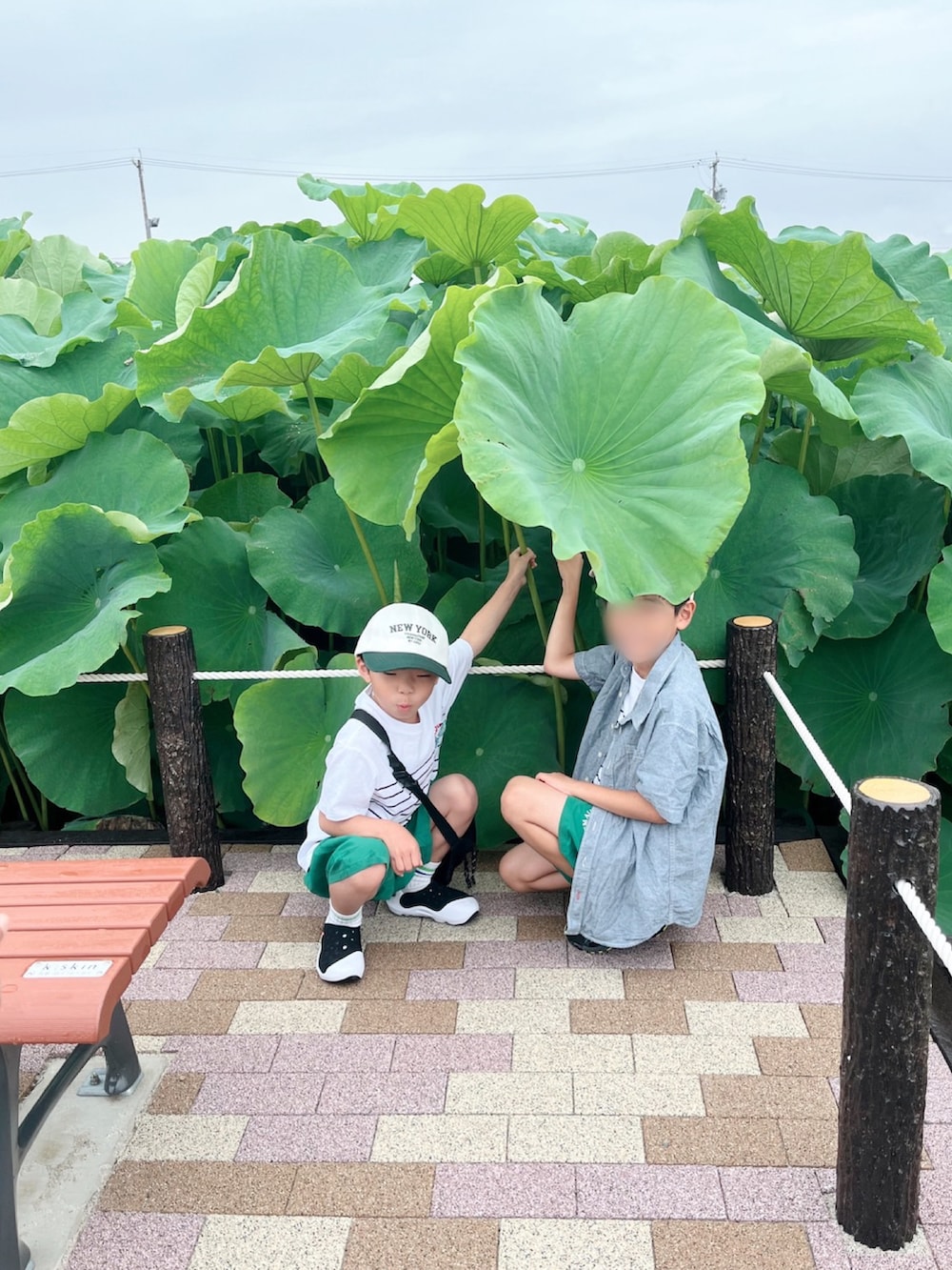 ホワイト系のサンダル、ホワイト系のTシャツ/カットソー、グリーン系のパンツを着用したキッズの夏コーディネートの3枚目の写真