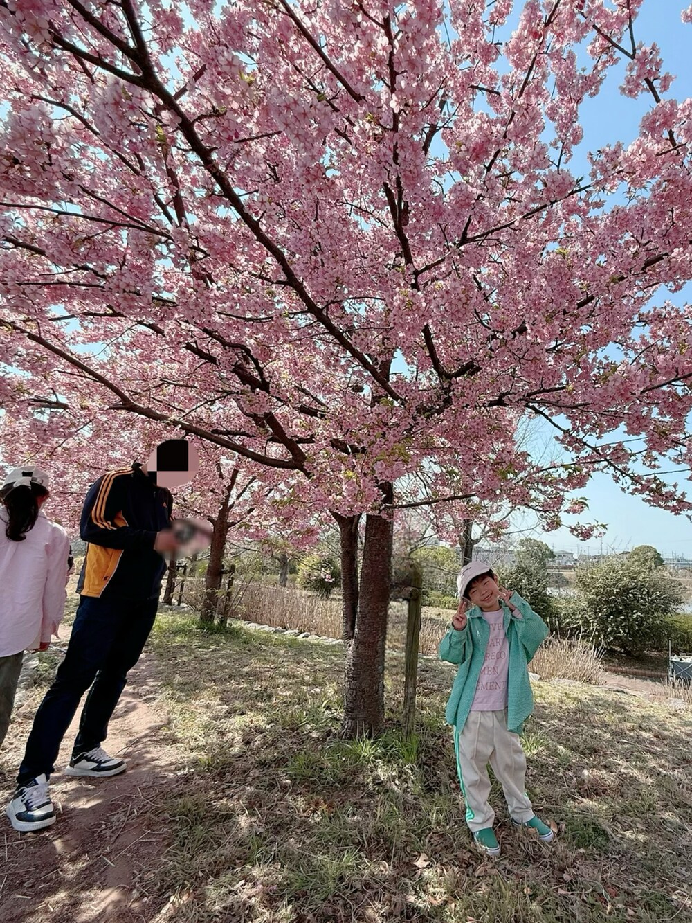 ホワイト系のTシャツ/カットソー、ピンク系のシャツ/ブラウス、グリーン系のカーゴパンツを着用したキッズの春コーディネートの5枚目の写真