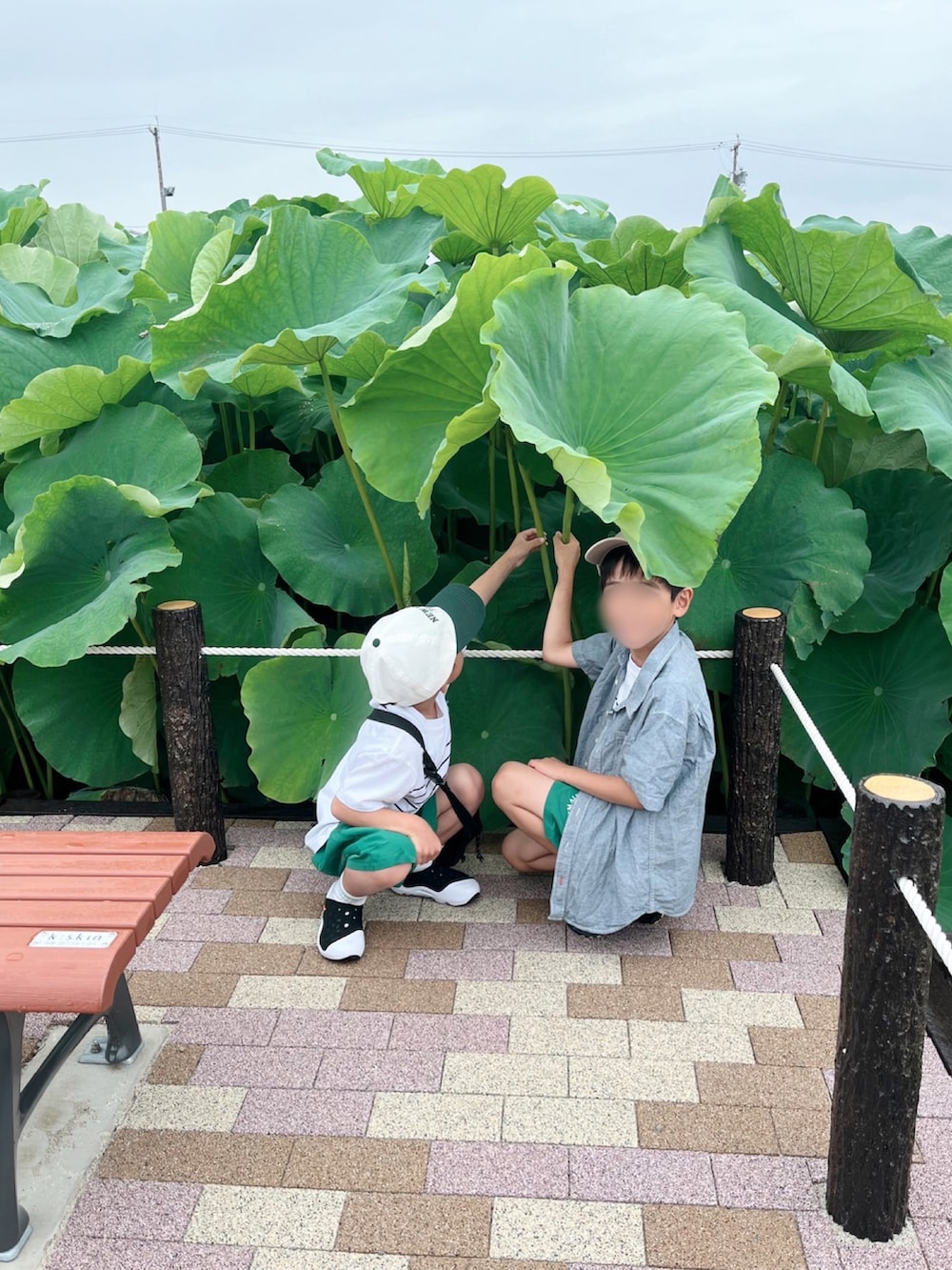 ホワイト系のサンダル、ホワイト系のTシャツ/カットソー、グリーン系のパンツを着用したキッズの夏コーディネートの4枚目の写真