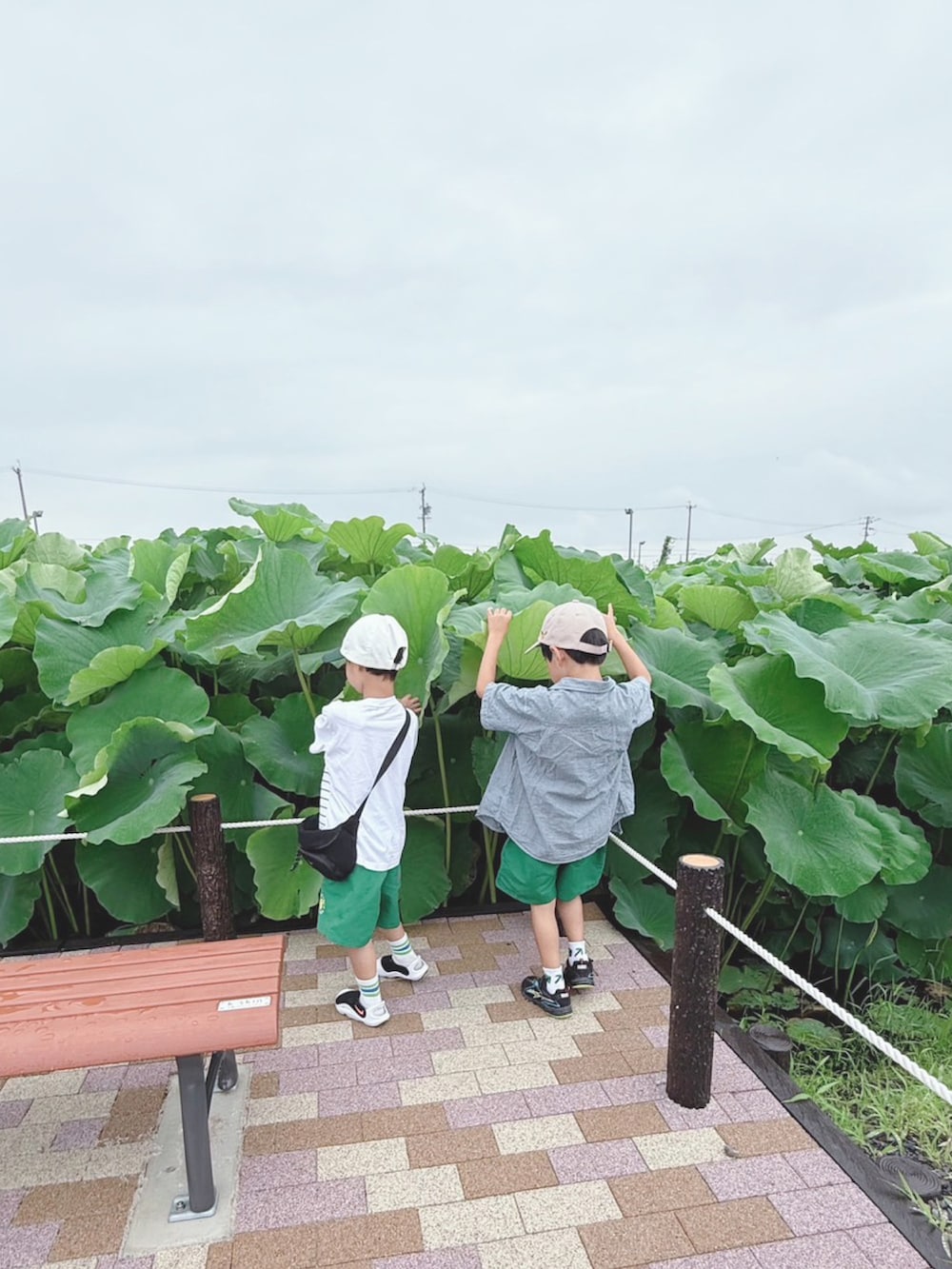 ホワイト系のサンダル、ホワイト系のTシャツ/カットソー、グリーン系のパンツを着用したキッズの夏コーディネートの5枚目の写真