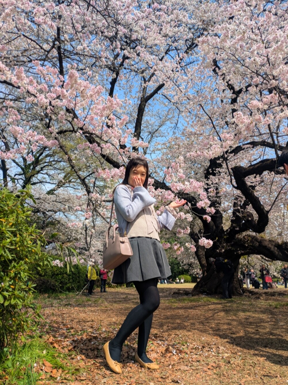 「花見コーデ」｜「GRLのアイテム（シャツ/ブラウス、パープル系）」を使った、（相互）さやかさん（レディース・150cm）の春コーディネートの2枚目の写真