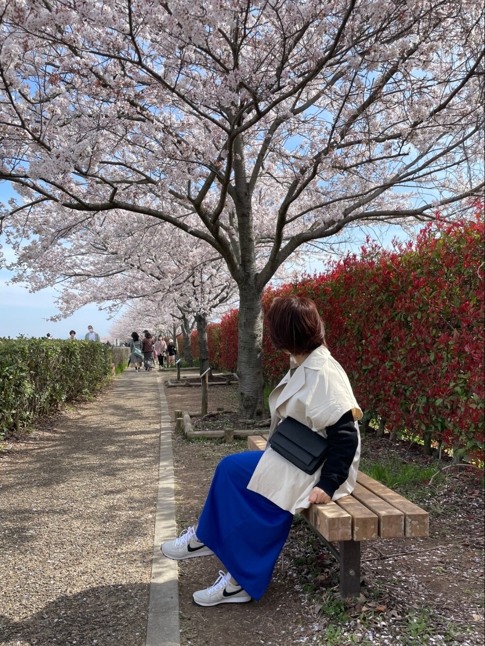 ãã¯ã€ãç³»ã®ãã¬ã³ãã³ãŒãããã«ãŒç³»ã®ã¹ã«ãŒãããã¯ã€ãç³»ã®ã¹ããŒã«ãŒãççšããã¬ãã£ãŒã¹ã®æ¥ã³ãŒãã£ããŒãã®2æç®ã®åç