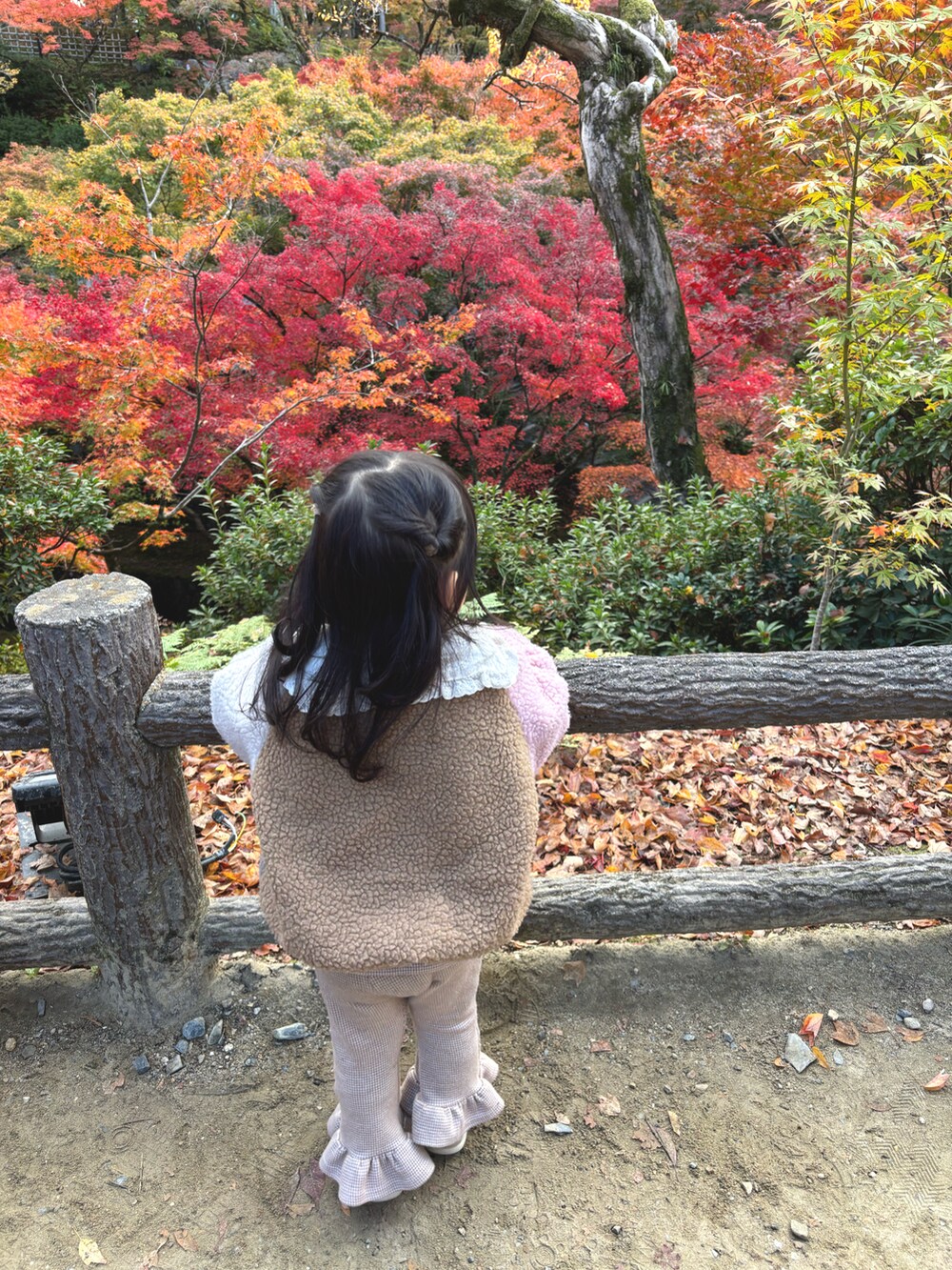 その他のジャケット/アウター、ベージュ系のパンツ、ブラック系のスニーカーを着用したキッズの秋コーディネートの2枚目の写真