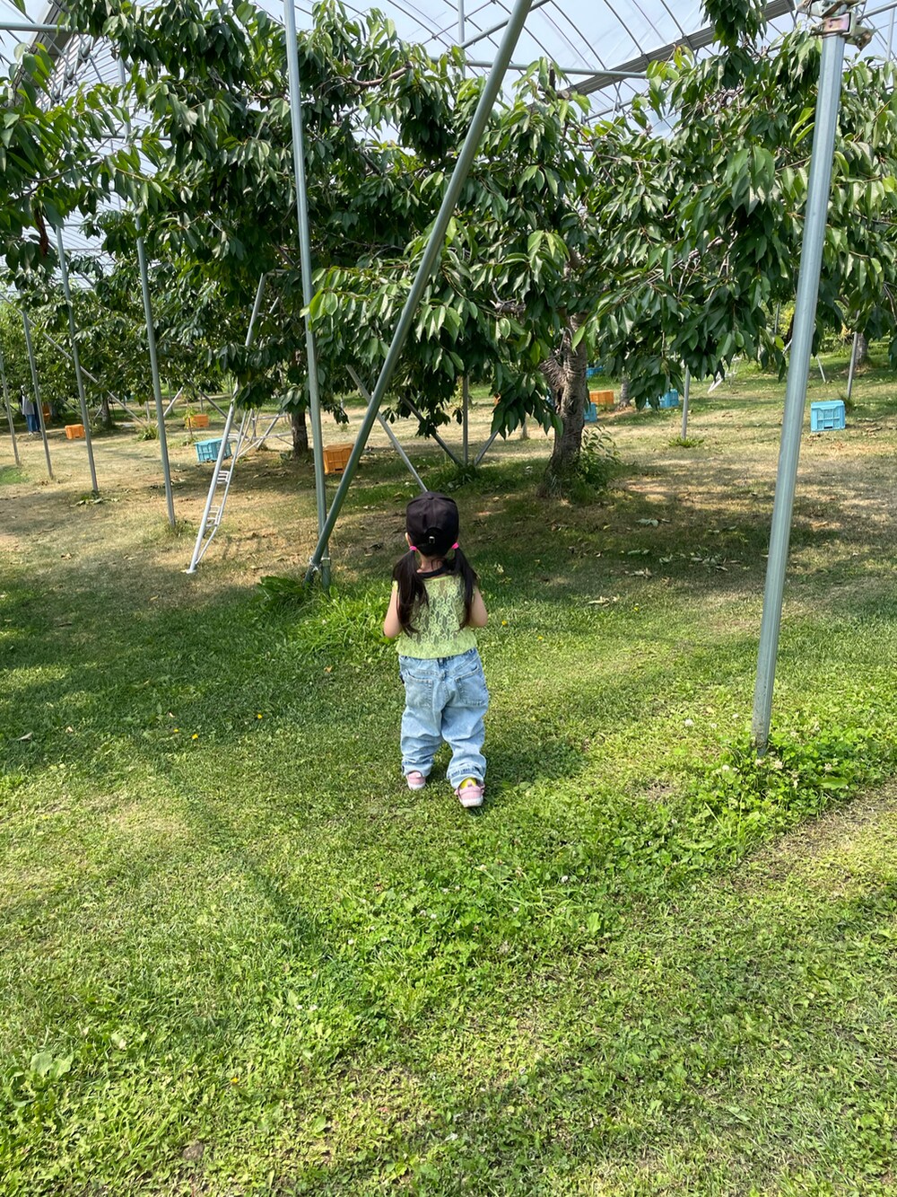 イエロー系のタンクトップ、ブルー系のデニムパンツ、ピンク系のスニーカーを着用したキッズの夏コーディネートの2枚目の写真