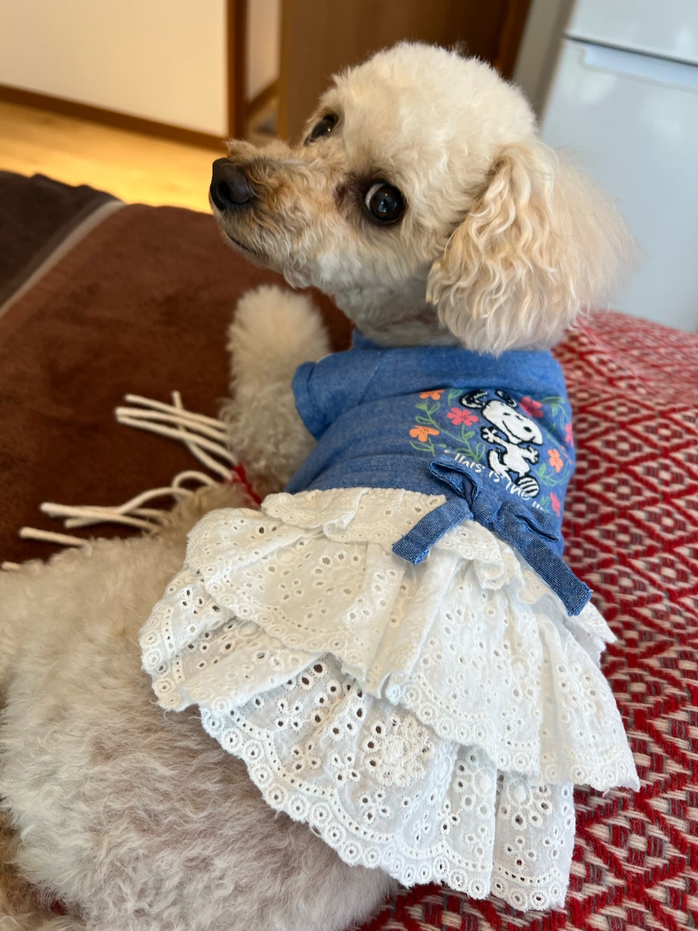 ブルー系のデニムジャケット、ブルー系のデニムパンツ、ベージュ系のショルダーバッグを着用したレディースの夏コーディネートの4枚目の写真