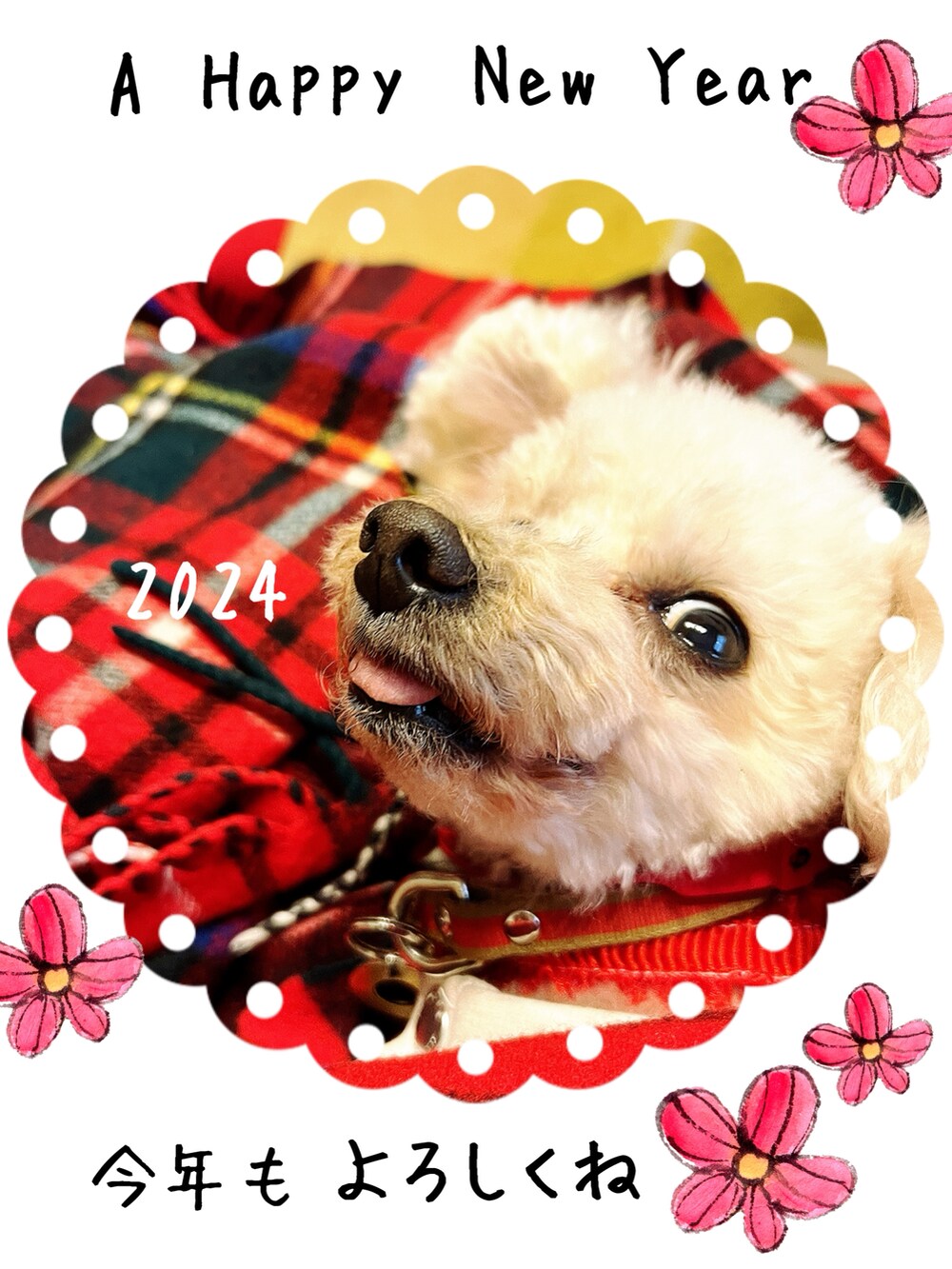 「あけましておめでとうございます!」|「チャコはここにいるよ💗のお参りの時はリュックの中だよ🌸(ペット用キャリーケース、ブラック系)」を使った、chaco♪さん(レディース・157cm)の冬コーディネートの2枚目の写真