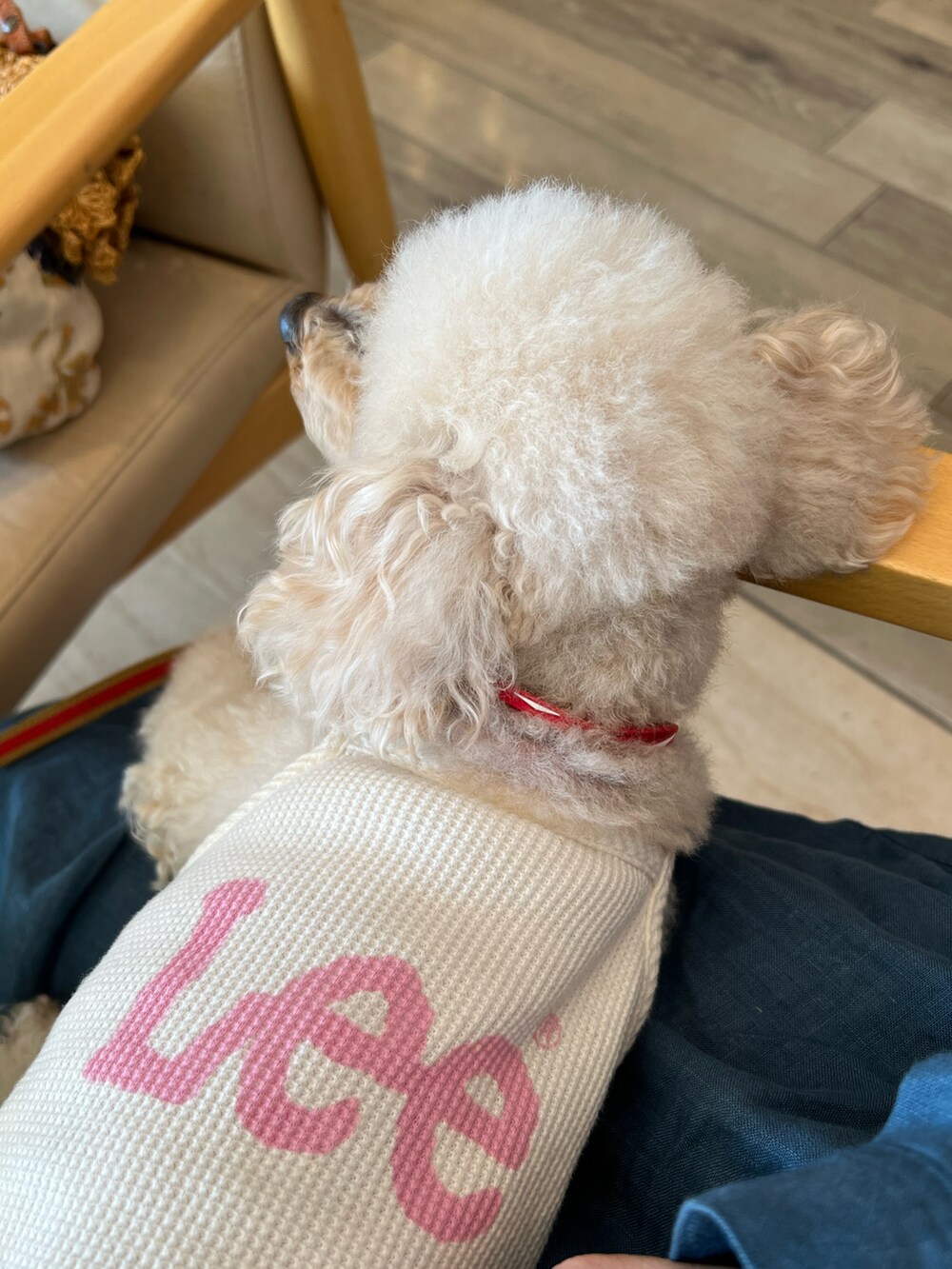 その他のトートバッグ、イエロー系のTシャツ/カットソー、ブラック系のその他パンツを着用したレディースの春コーディネートの3枚目の写真