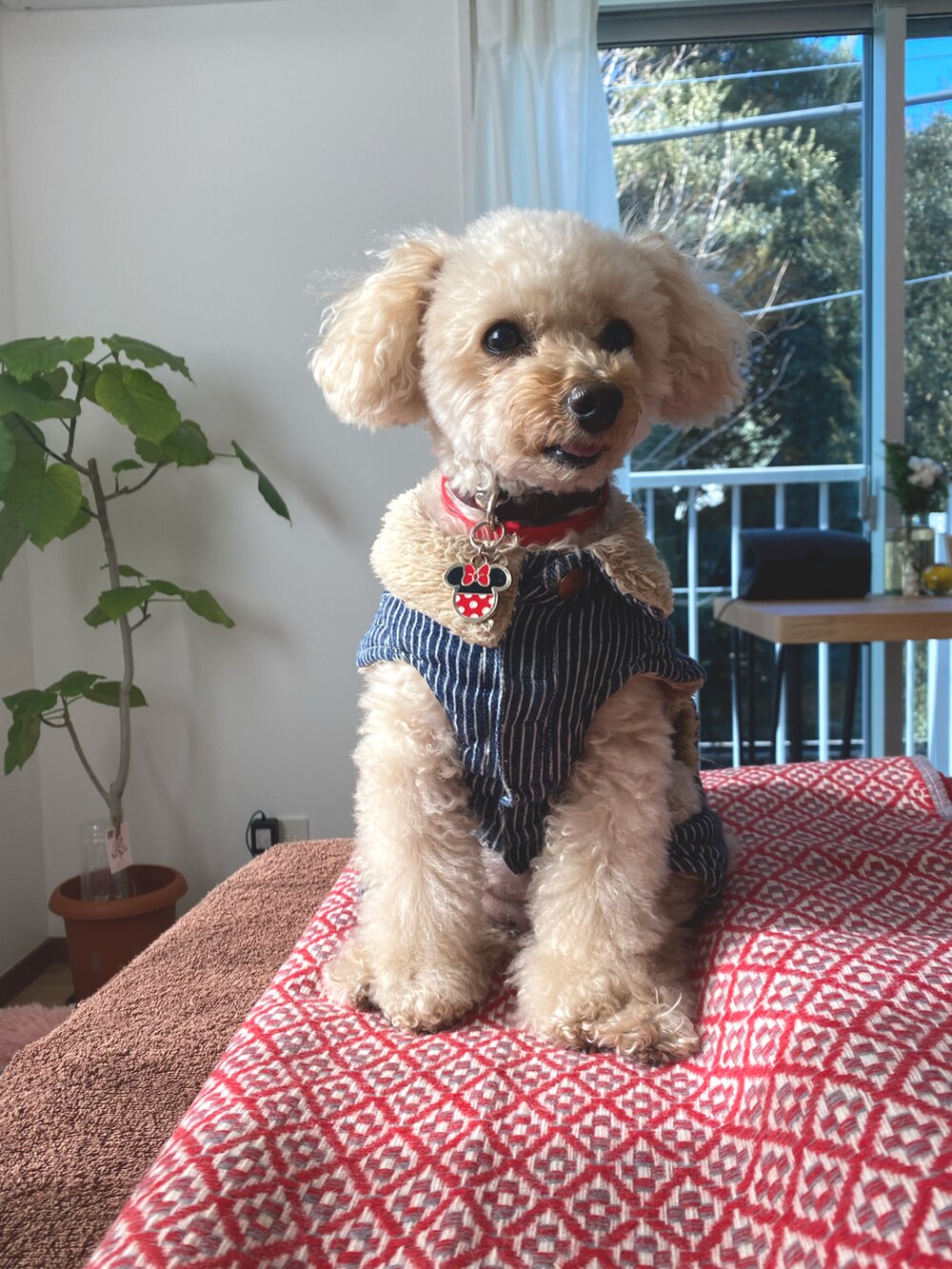 ブルー系のダウンジャケット/コート、レッド系のショルダーバッグ、ブラック系のTシャツ/カットソーを着用したレディースの冬コーディネートの2枚目の写真