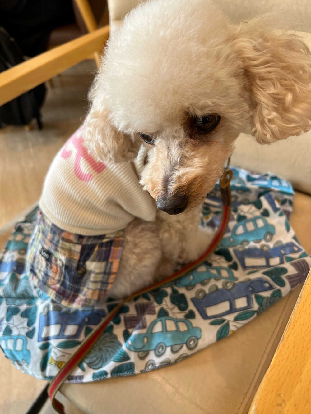 その他のトートバッグ、イエロー系のTシャツ/カットソー、ブラック系のその他パンツを着用したレディースの春コーディネートの2枚目の写真