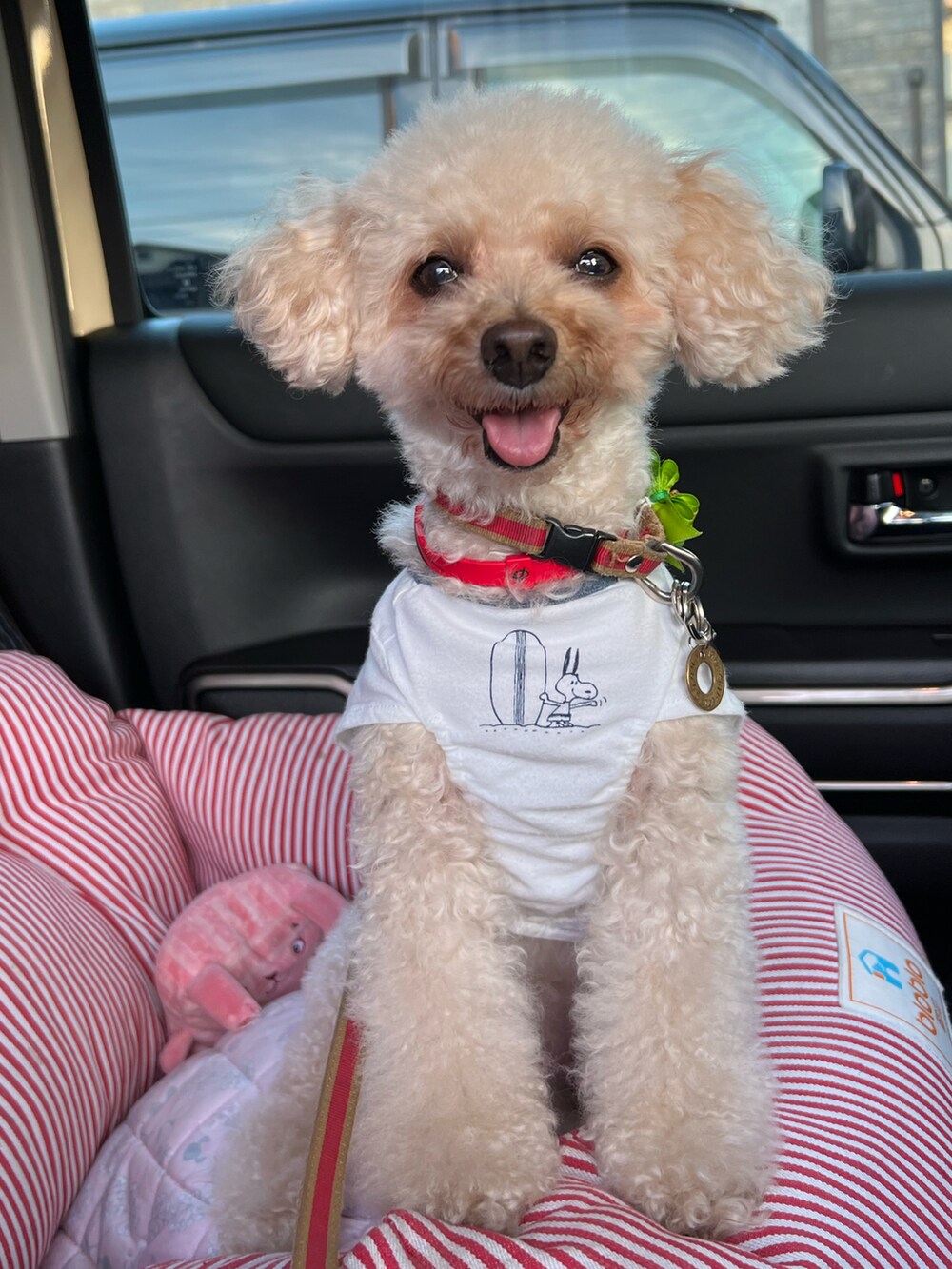 ベージュ系のシャツ/ブラウス、その他のサロペット/オーバーオール、その他のボストンバッグを着用したレディースの秋コーディネートの3枚目の写真