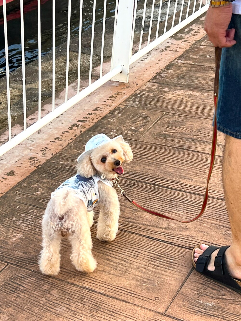 ホワイト系のワンピース、グリーン系のショルダーバッグ、ホワイト系のスニーカーを着用したレディースの夏コーディネートの2枚目の写真