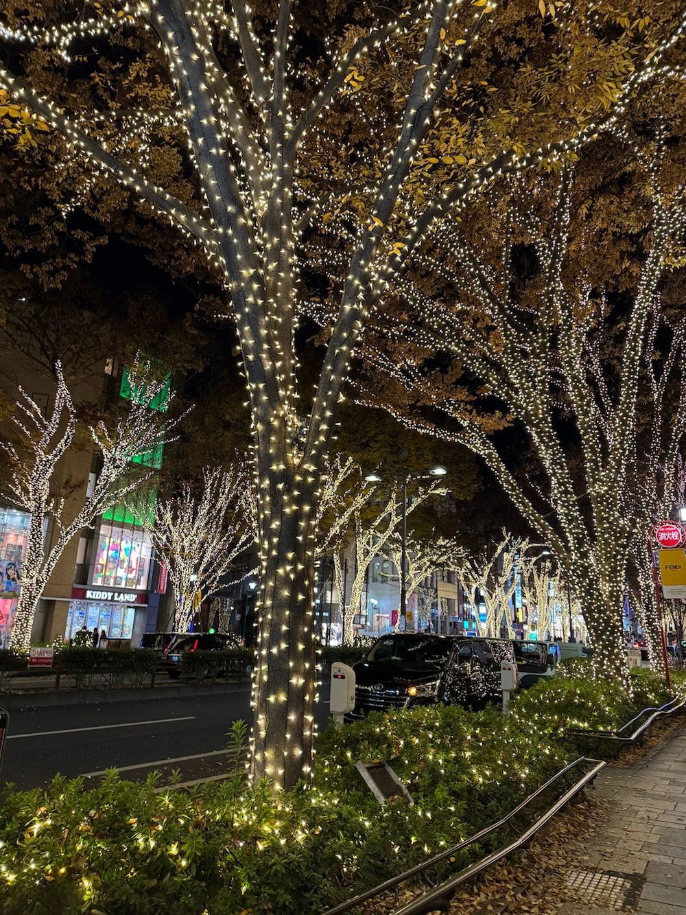 ブラック系のニット/セーター、ホワイト系のチノパンツ、ブラック系のショルダーバッグを着用したレディースの冬コーディネートの3枚目の写真