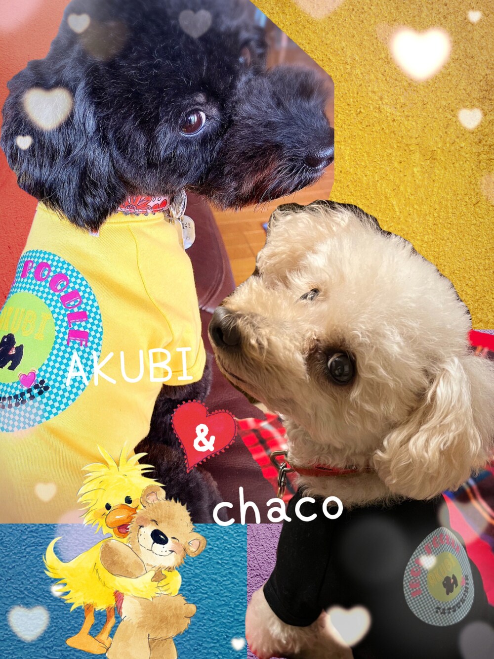 オレンジ系のショルダーバッグ、ブルー系のMA-1、レッド系のマフラーを着用したレディースの冬コーディネートの4枚目の写真