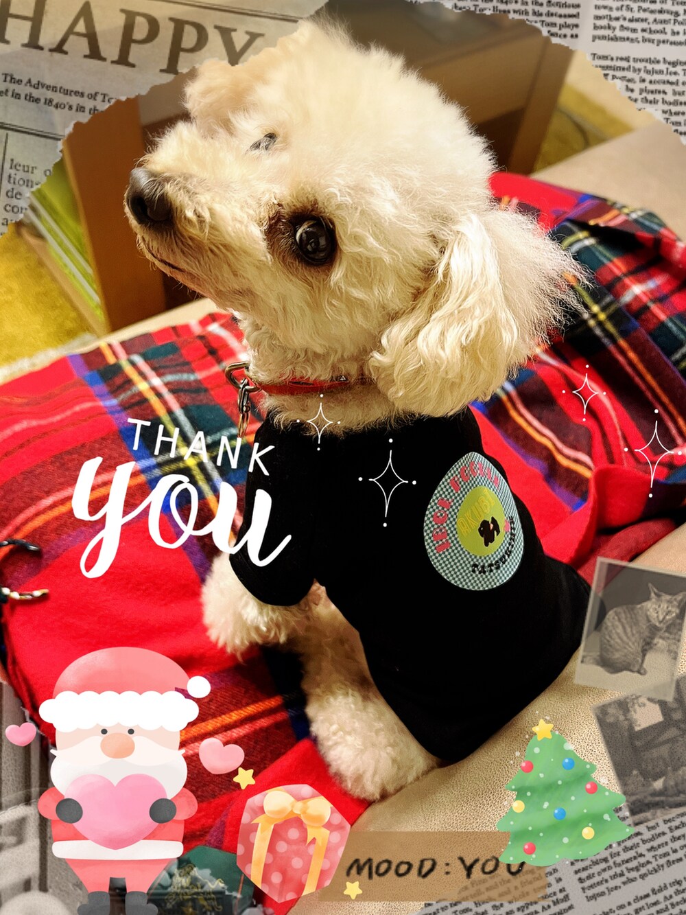 グリーン系のその他アウター、ホワイト系のトートバッグ、ブルー系のデニムパンツを着用したレディースの冬コーディネートの4枚目の写真