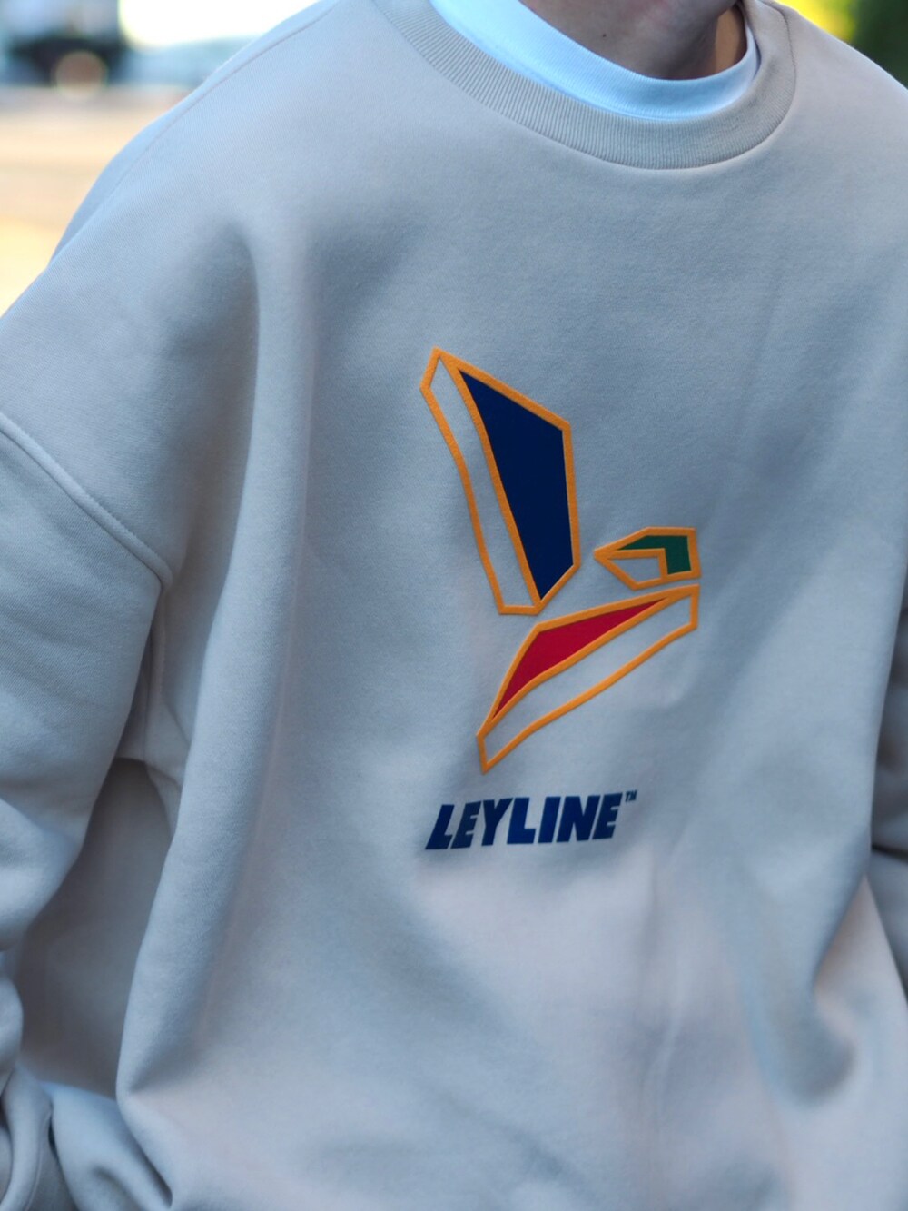 ブラウン系のスウェット、ブラック系のスニーカー、ブラック系のキャップを着用したメンズの秋コーディネートの2枚目の写真