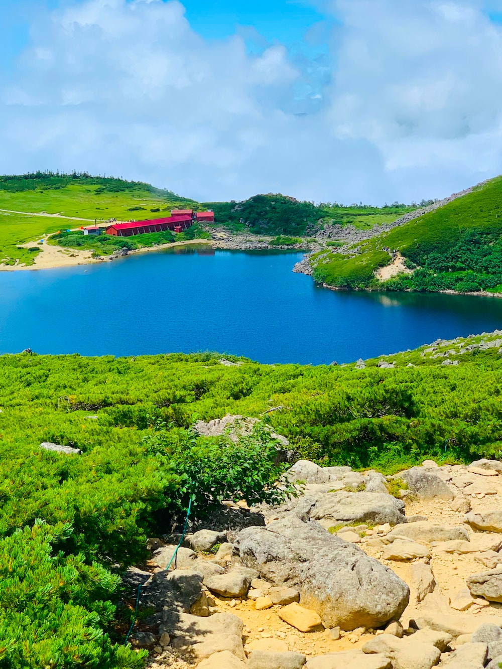 ブラウン系のスニーカー、ゴールド系のパンツ、イエロー系のバックパック/リュックを着用したメンズの夏コーディネートの4枚目の写真