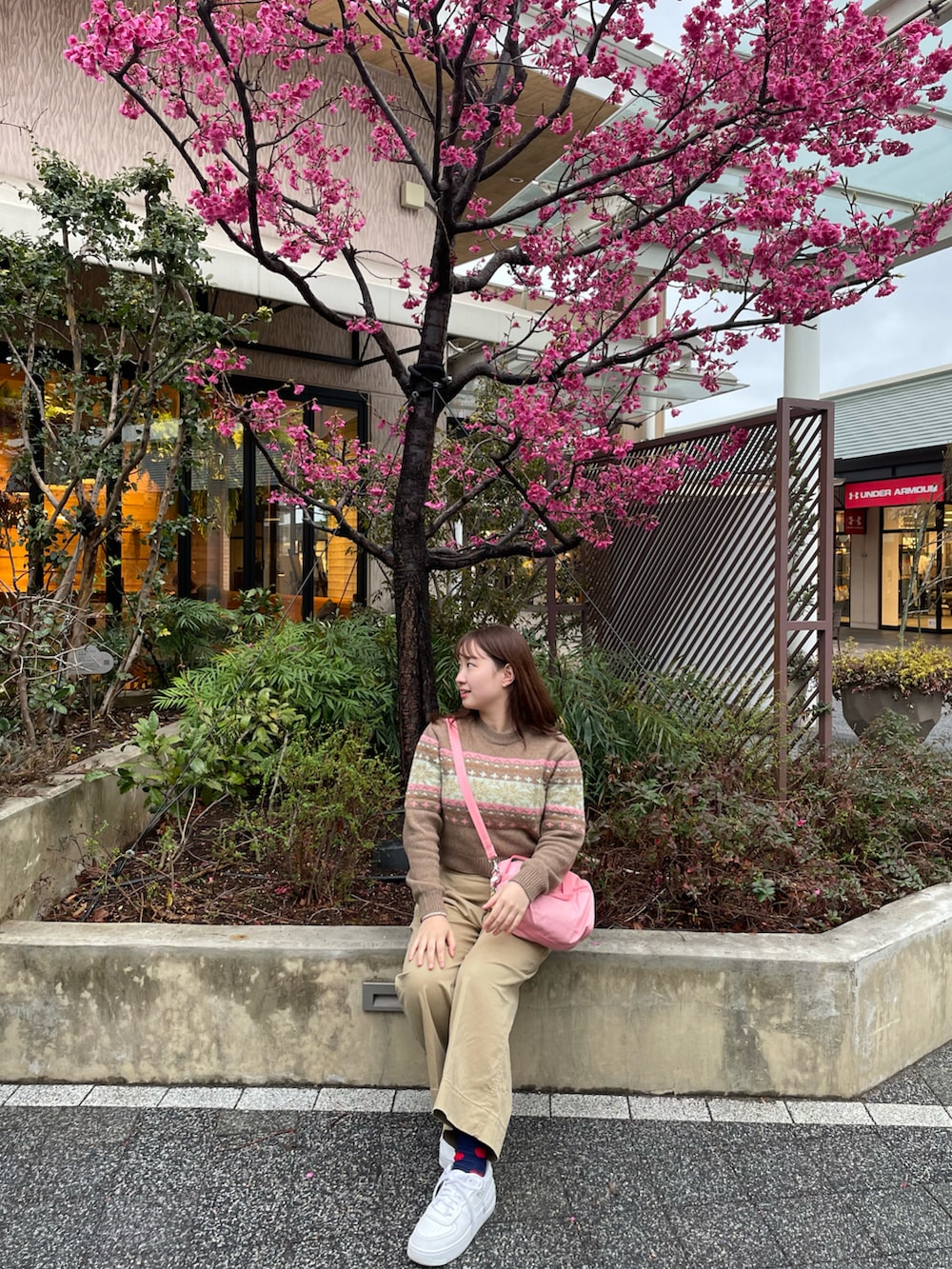 「ニット、淡色コーデ、今日のコスメと服、春色、休日スタイル、オフィスカジュアル、スニーカー、ショルダーバッグ、カラーパンツ、春コーデ、ブチプラ、ブラウン、チノパン、韓国ファッション」｜「GROVE SEOULのアイテム（ニット/セーター、ブラウン系）」を使った、LEOさん（レディース・157cm）の冬コーディネートの4枚目の写真