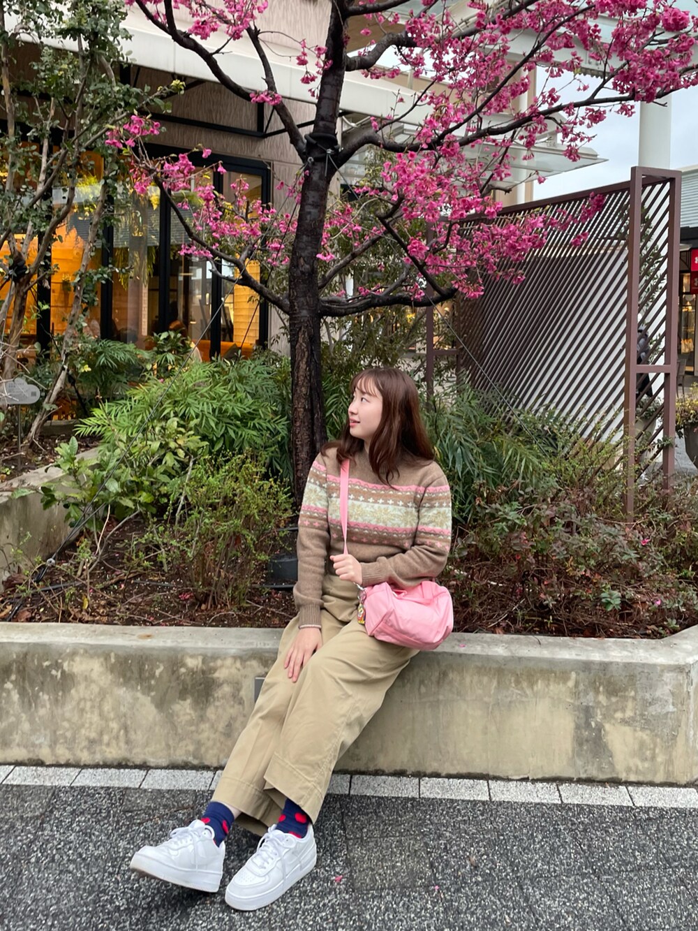 「ニット、淡色コーデ、今日のコスメと服、春色、休日スタイル、オフィスカジュアル、スニーカー、ショルダーバッグ、カラーパンツ、春コーデ、ブチプラ、ブラウン、チノパン、韓国ファッション」｜「GROVE SEOULのアイテム（ニット/セーター、ブラウン系）」を使った、LEOさん（レディース・157cm）の冬コーディネートの5枚目の写真
