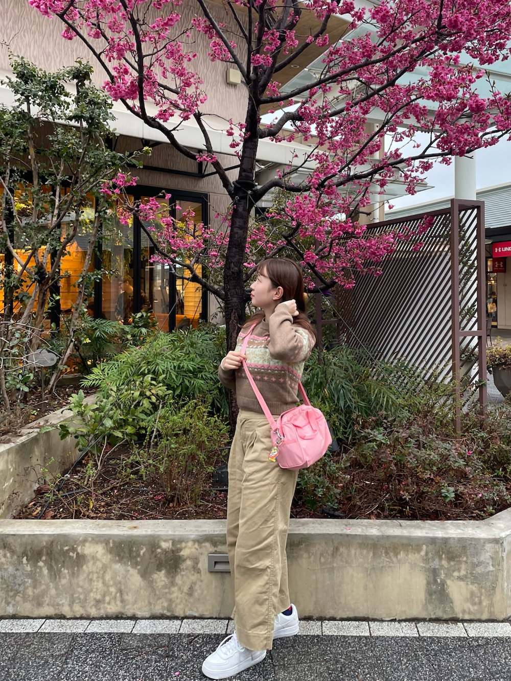 「ニット、淡色コーデ、今日のコスメと服、春色、休日スタイル、オフィスカジュアル、スニーカー、ショルダーバッグ、カラーパンツ、春コーデ、ブチプラ、ブラウン、チノパン、韓国ファッション」｜「GROVE SEOULのアイテム（ニット/セーター、ブラウン系）」を使った、LEOさん（レディース・157cm）の冬コーディネートの3枚目の写真