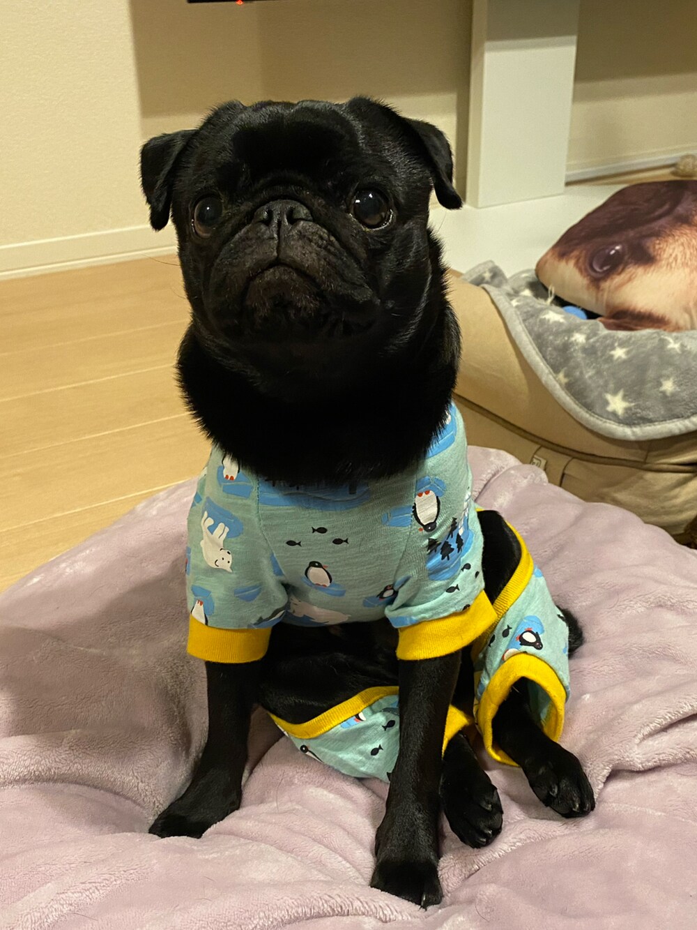 ブラック系のデニムパンツ、ベージュ系のダウンジャケット/コート、イエロー系のリード/ハーネス/首輪を着用したレディースの冬コーディネートの3枚目の写真