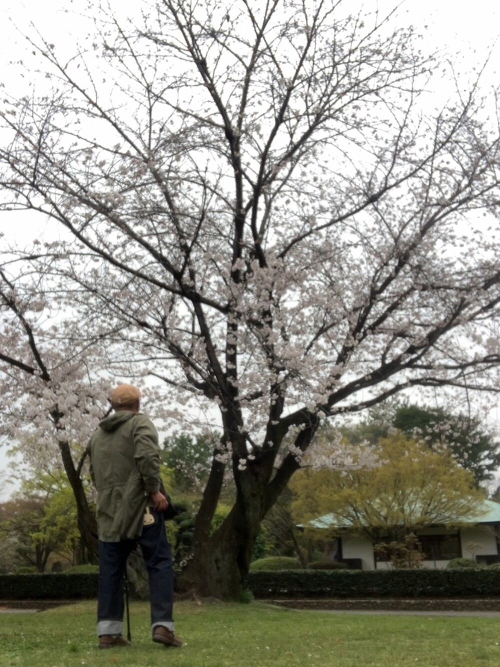 ブラック系のネクタイ、ブルー系のデニムパンツ、ブラック系のショルダーバッグを着用したメンズの春コーディネートの2枚目の写真