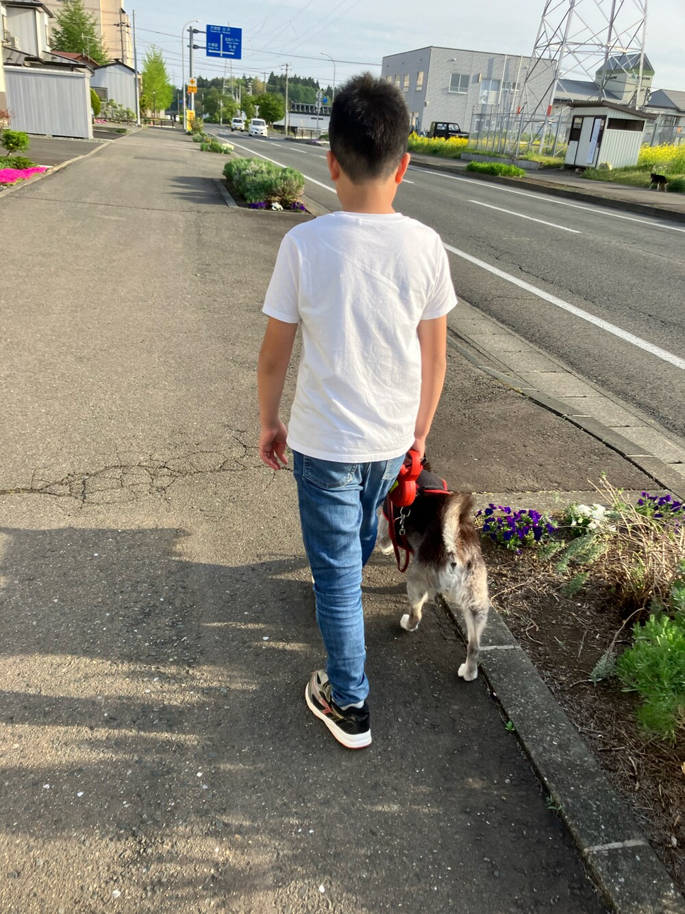 ブルー系のデニムパンツ、ホワイト系のTシャツ/カットソー、ゴールド系のスニーカーを着用したキッズの春コーディネートの2枚目の写真