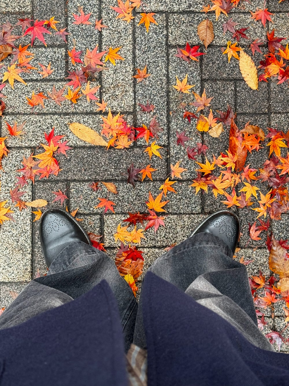 KAI｜benine9のブルゾンを使ったコーディネート - WEAR