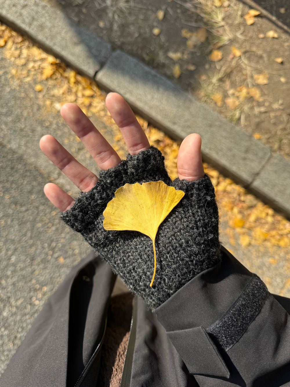 「新星WEARISTAにエントリー、WEARyouthコーデ、レインコート、フーデットコート、大人カジュアル、カジュアルコーデ、スウェットパンツ、革靴、秋コーデ、ショルダーバッグ、ゆるコーデ、マイベストコーデ2023、休日コーデ、おでかけコーデ、きれいめカジュアル」｜「VICTIMのVICTIM ヴィクティム / SEAMLESS BIG COAT / VTM-22-C-001（モッズコート、ブラック系）」を使った、KAIさん（メンズ・183cm）の冬コーディネートの2枚目の写真