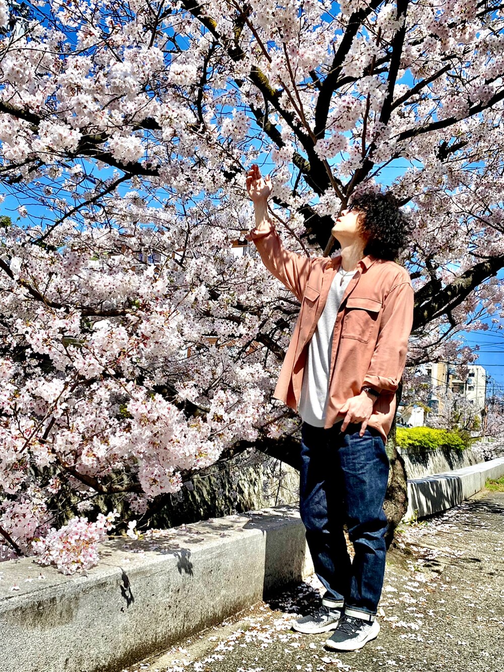 「桜、ピンク、ピンクコーデ、ピンクシャツ、花見、お花見、nano・universe、nano universe、ナノユニバース、ナノユニバース(nano･universe)、MONO-MART、モノマート、シャツスタイル、春コーデ、春」｜「NANO universeのSORONA ビッグポケットワイドシャツ（シャツ/ブラウス、ピンク系）」を使った、KEITA(ΦωΦ)さん（メンズ・182cm）の春コーディネートの2枚目の写真
