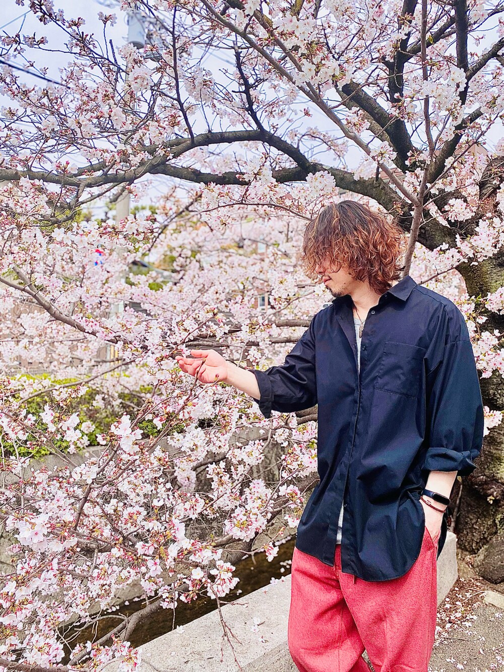 「桜、ピンク、ピンクコーデ、ピンクパンツ、春コーデ、LEE、Lee、chaopanic、チャオパニックティピー(CIAOPANIC TYPY)、チャオパニック、オーバーサイズシャツ、GU、GUコーデ、春服みてみて、エアフォースワン」｜「GUのアイテム（シャツ/ブラウス、ブラック系）」を使った、KEITA(ΦωΦ)さん（メンズ・182cm）の春コーディネートの3枚目の写真