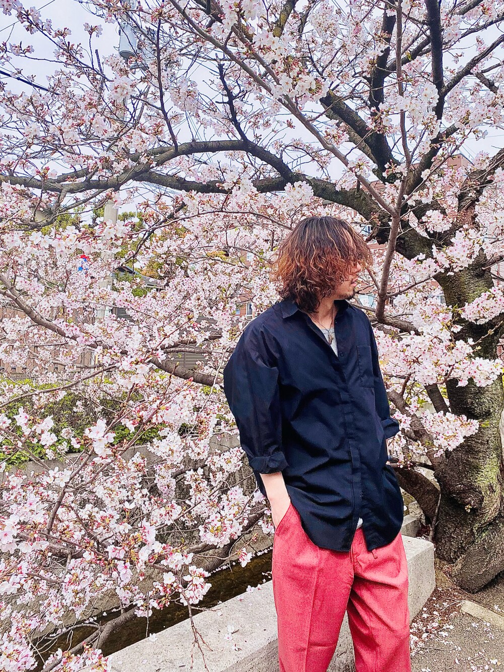 「桜、ピンク、ピンクコーデ、ピンクパンツ、春コーデ、LEE、Lee、chaopanic、チャオパニックティピー(CIAOPANIC TYPY)、チャオパニック、オーバーサイズシャツ、GU、GUコーデ、春服みてみて、エアフォースワン」｜「GUのアイテム（シャツ/ブラウス、ブラック系）」を使った、KEITA(ΦωΦ)さん（メンズ・182cm）の春コーディネートの2枚目の写真