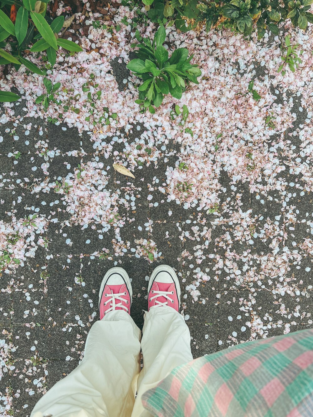 ホワイト系のカーディガン/ボレロ、ホワイト系のTシャツ/カットソー、ホワイト系のサロペット/オーバーオールを着用したレディースの春コーディネートの4枚目の写真