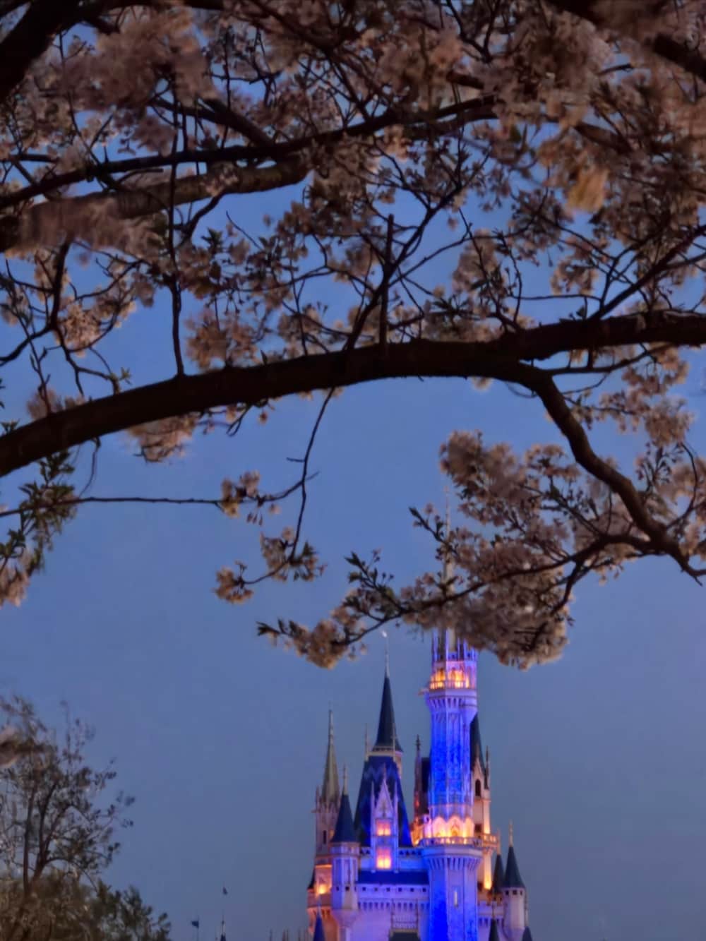 ブラック系のスカート、ベージュ系のブーツ、ホワイト系のシャツ/ブラウスを着用したレディースの春コーディネートの3枚目の写真