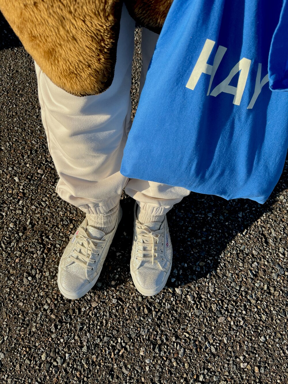 ブルー系のTシャツ/カットソー、ブラウン系のベスト、ブルー系のトートバッグを着用したレディースの秋コーディネートの3枚目の写真
