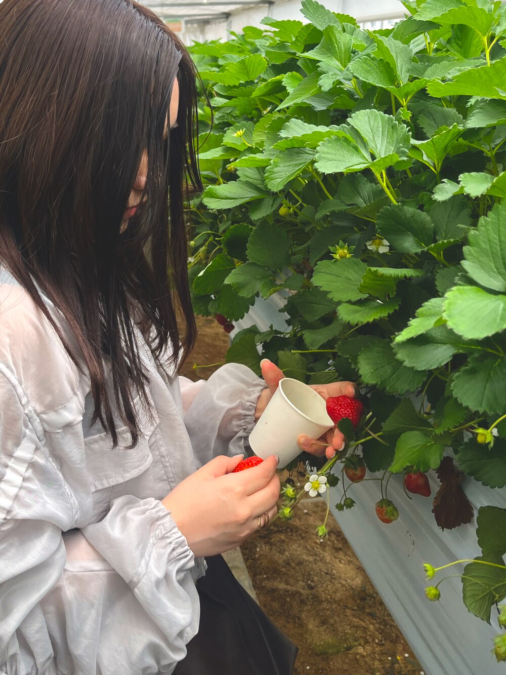 グリーン系のワンピース、グレー系のブルゾン、ブラウン系のショルダーバッグを着用したレディースの春コーディネートの2枚目の写真