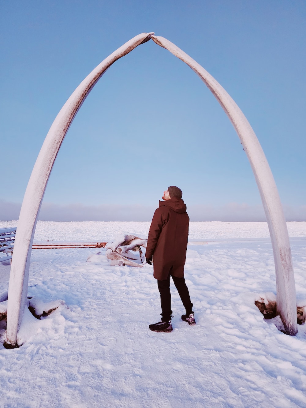 ブラウン系のダウンジャケット/コート、ブラック系のその他パンツ、グレー系のパーカーを着用したメンズの冬コーディネートの2枚目の写真