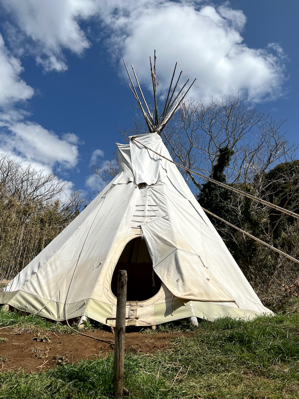 ブルー系のスニーカー、ブラック系のスウェットパンツ、グリーン系のナイロンジャケットを着用したメンズの春コーディネートの2枚目の写真