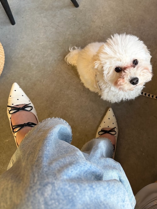 コーディネート