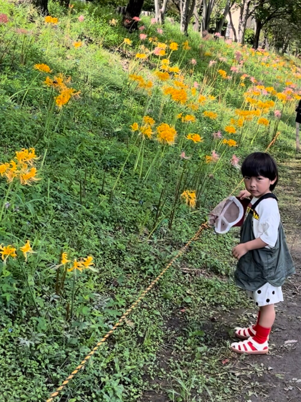 グリーン系のベスト、ホワイト系のTシャツ/カットソー、ベージュ系のその他パンツを着用したキッズの秋コーディネートの2枚目の写真