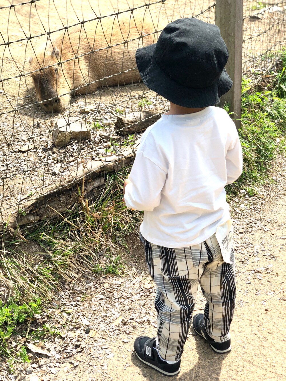 ホワイト系のTシャツ/カットソー、ホワイト系のチノパンツ、ブラック系のスニーカーを着用したキッズの春コーディネートの2枚目の写真