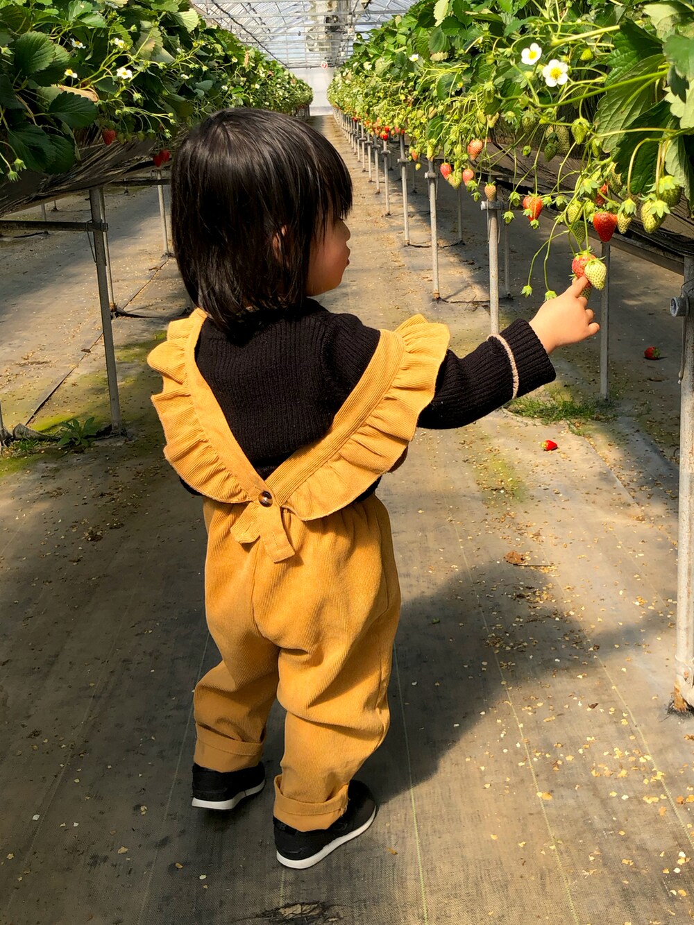 ブラック系のスニーカー、オレンジ系のサロペット/オーバーオール、ブラック系のニット/セーターを着用したキッズの春コーディネートの3枚目の写真