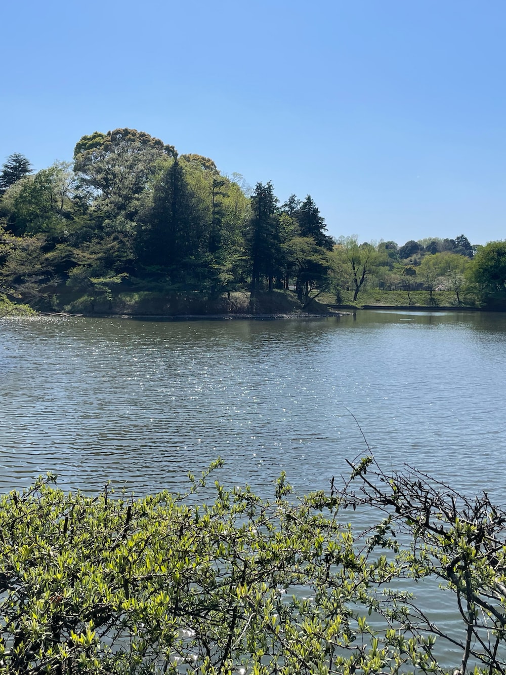 ブルー系のデニムジャケット、ブラック系のスラックス、ブラック系のブーツを着用したメンズの春コーディネートの3枚目の写真